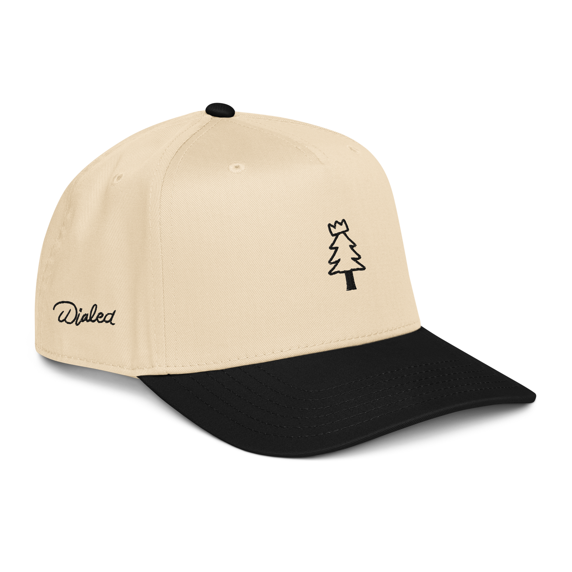 ‘Big League’ Ball Cap (black sample)
